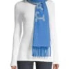 Rag & Bone Addison Skinny Recycled Wool Scarf 2 Rag & Bone Addison Skinny Recycled Wool Scarf -Fashion Jewelry & Accessories 0400015122808 BLUERAY