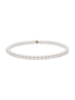 14K Yellow Gold & 7.5-8MM Akoya Pearl Necklace