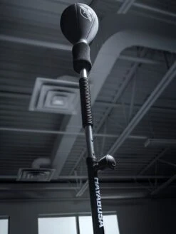 Hayabusa Free-Standing Boxing Training Cobra Bag -Fashion Jewelry & Accessories 0400017846375 BLACK A1